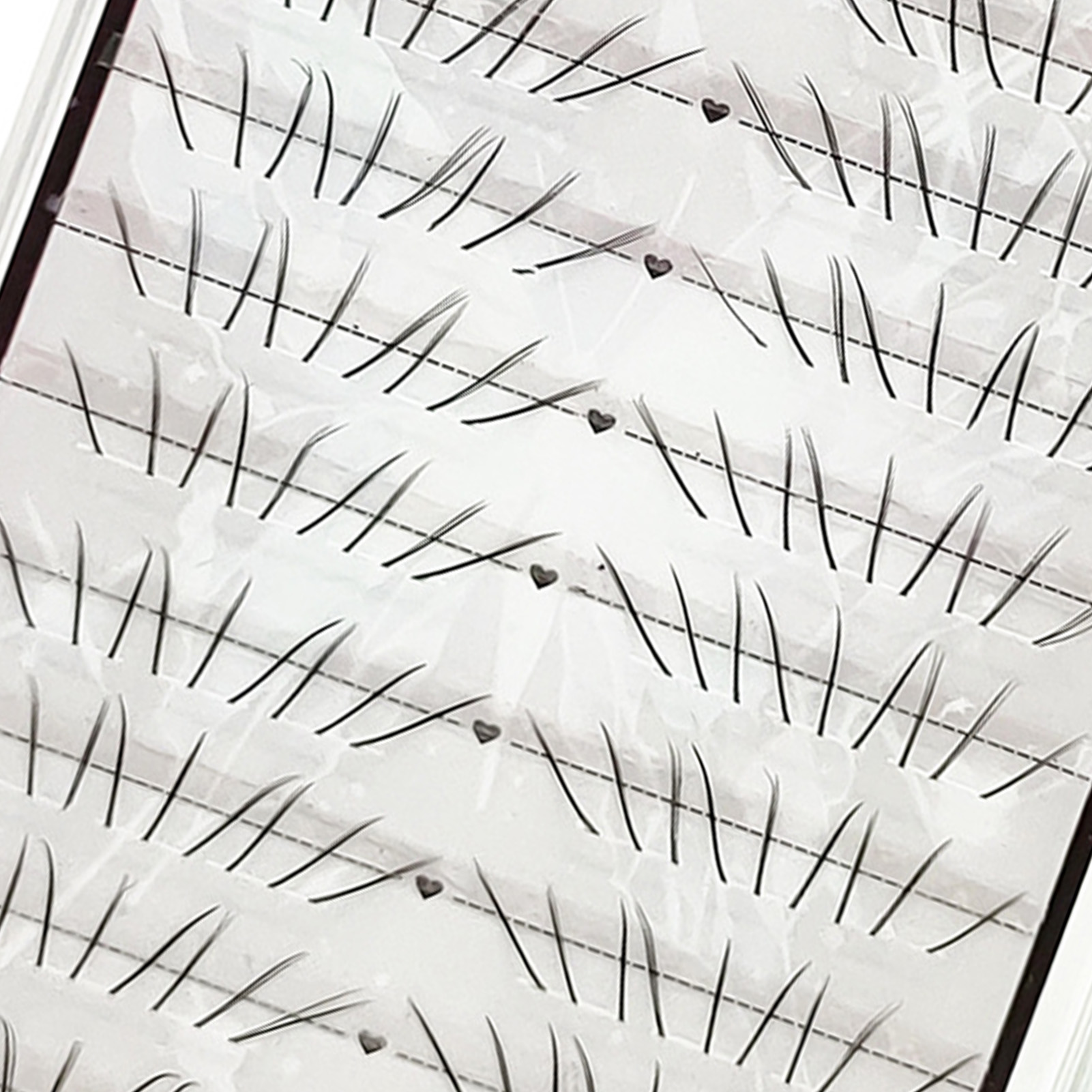 ナチュラルキャットパウ下まつげ C カール毎日のメイクアップ - Eyelash Extension Cat Eye のレビューと価格